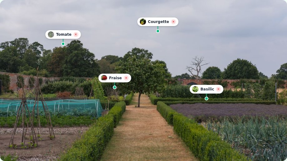 Zone de potager Jardivia avec plantes positionnées sur une carte photo
