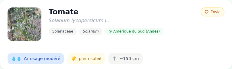 Fiche d'une plante identifiée dans Jardivia, avec famille botanique, origine et conseils d'entretien