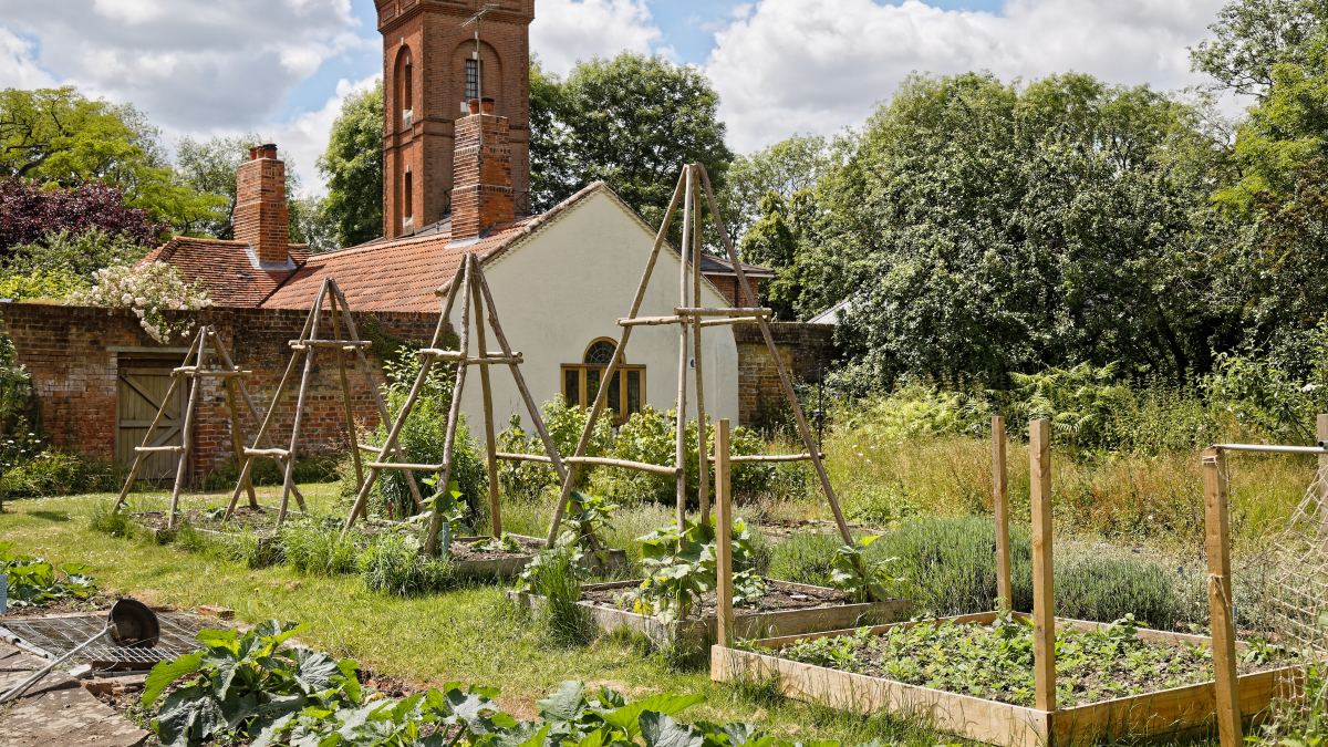 Août au potager et au jardin : 12 gestes simples pour préparer la rentrée
