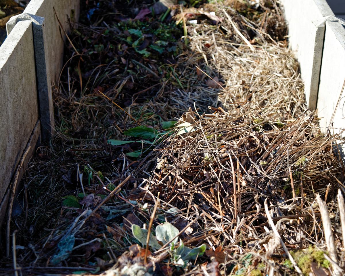 Composter en fin d'été : accélérer, entretenir et préparer du terreau pour l'automne