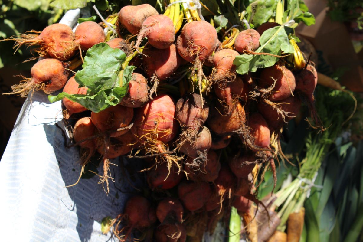 Conserver les légumes récoltés en septembre : tri, préparation et stockage pratiques