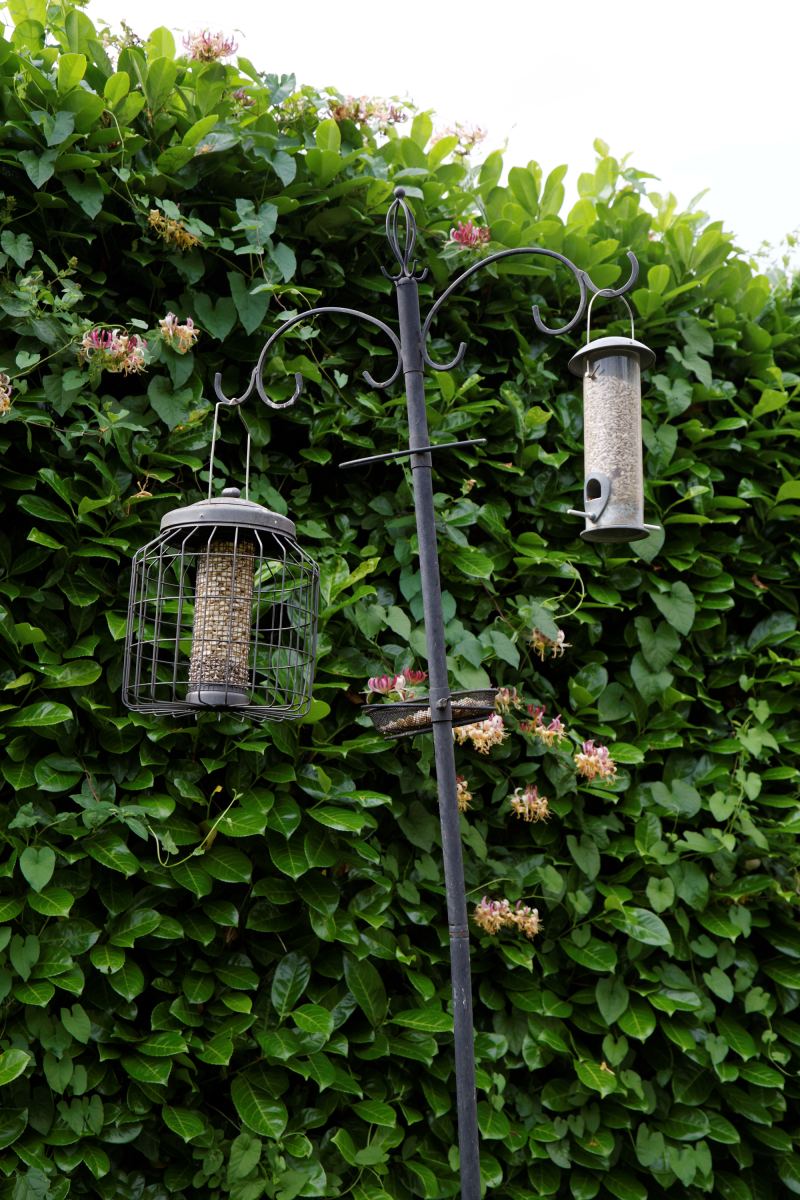 Créer un refuge pour la biodiversité en septembre : gestes simples et durables