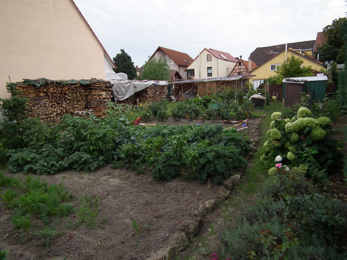 Entretenir ses outils de jardin en août : guide simple et sûr pour repartir frais en septembre