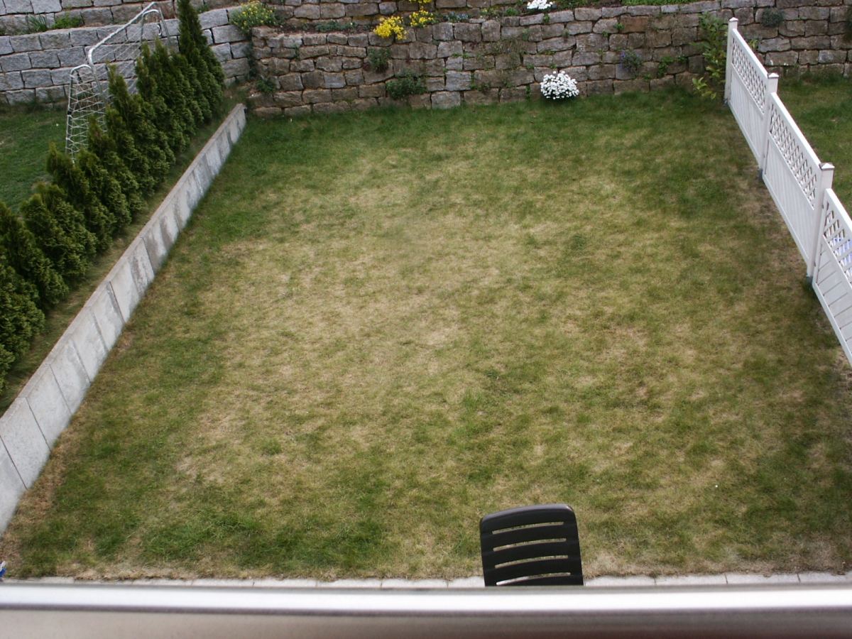 Pelouse en septembre : le plan simple pour réparer, regarnir et passer l’hiver tranquille
