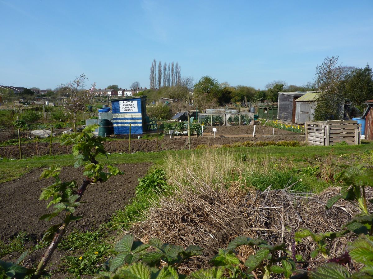Prolonger la saison du potager et du balcon : mini-tunnels, voiles et gestes à faire maintenant