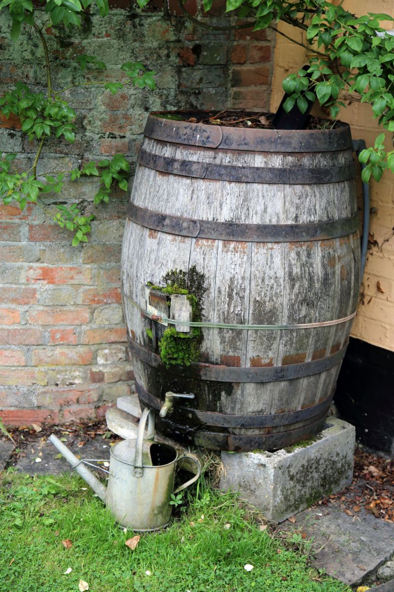 Récupérer l'eau de pluie en août : installer une cuve simple et sûre pour arroser