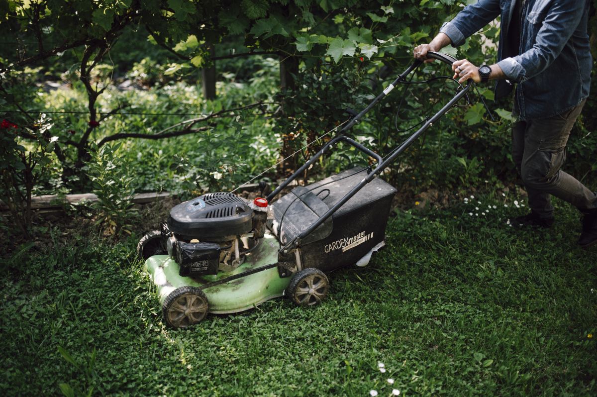 Rénover sa pelouse en août : mode d’emploi simple et efficace